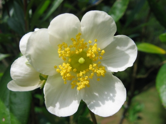 Conseil amdinistration