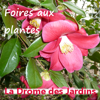 Foires aux plantes